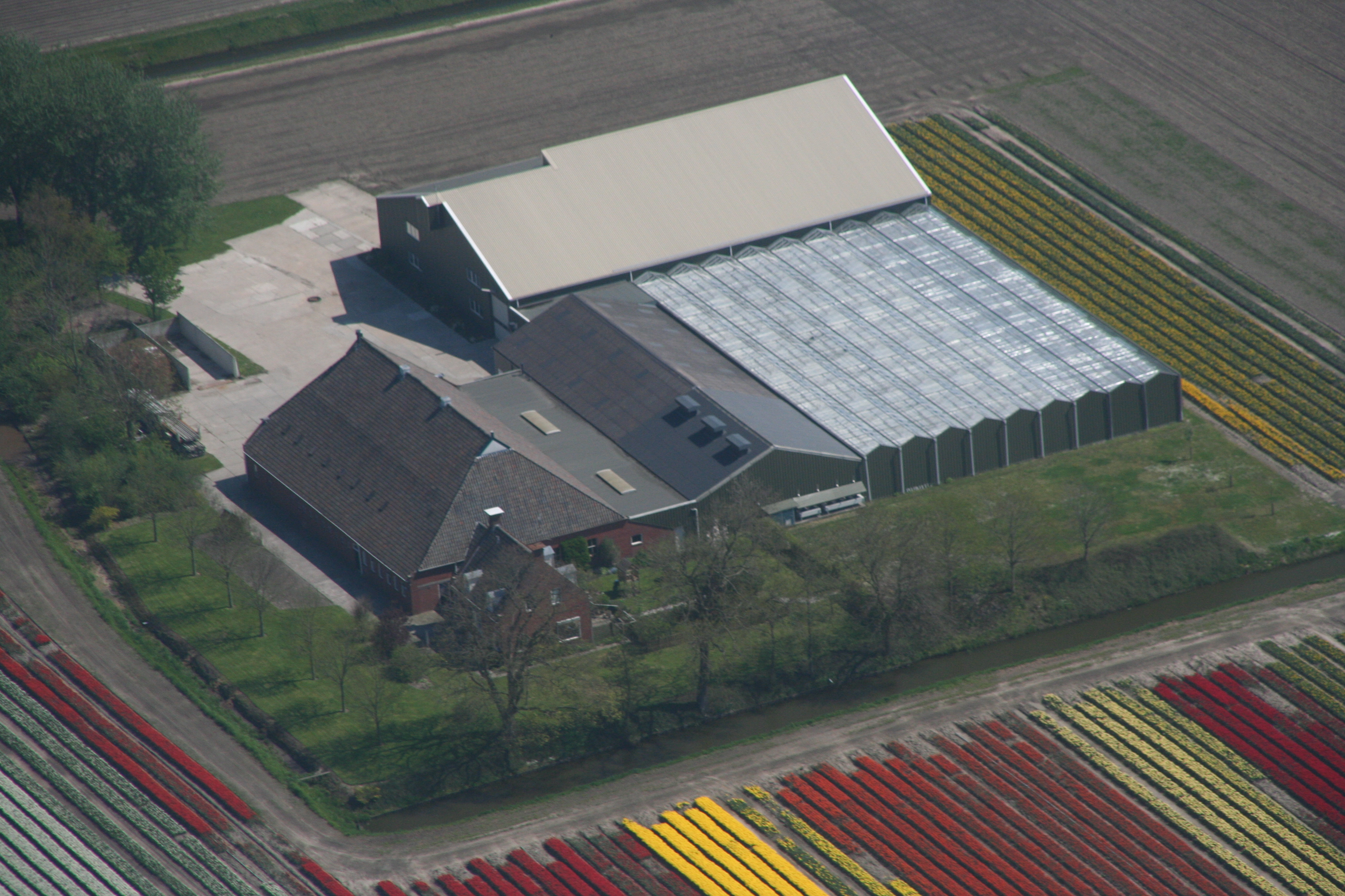 De boerderij Stedumerweg 1 Loppersum